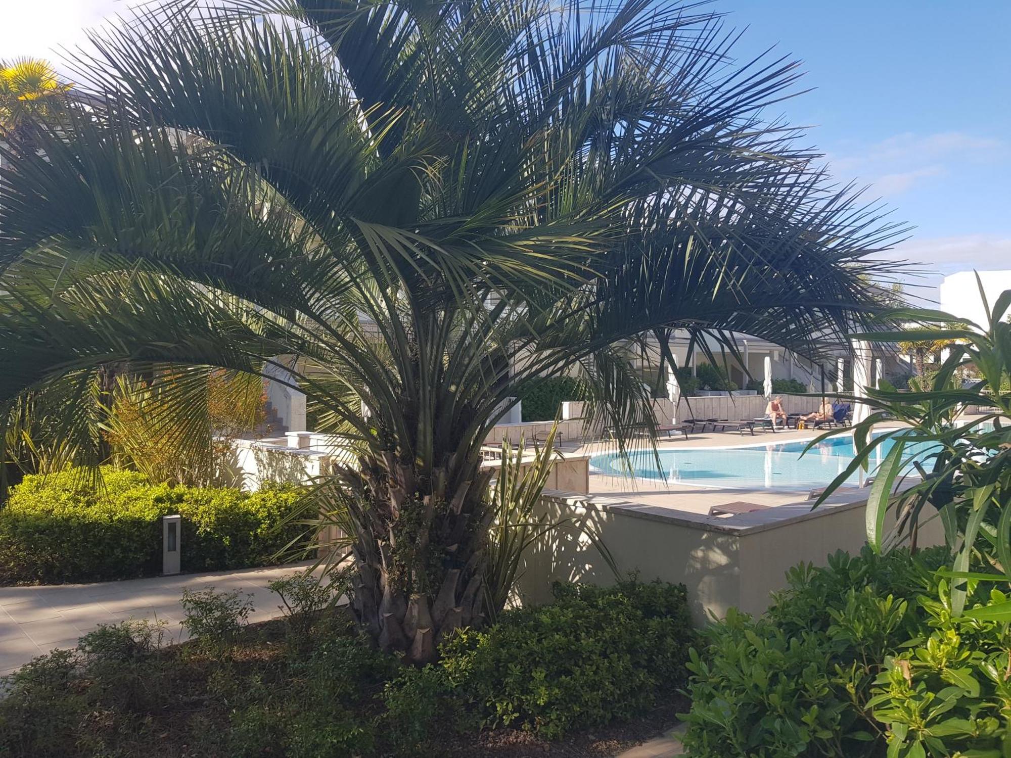 Residence Jesolo Lido Centro Con Piscina Exterior photo